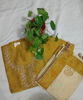 Modal silk with embroidery work